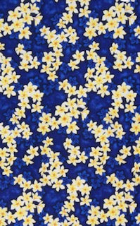 Fabric 17 - 100% Cotton